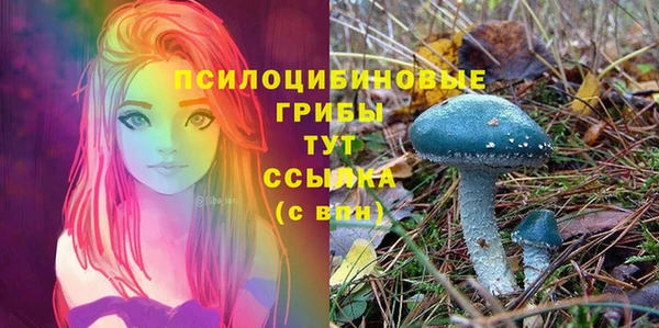 2c-b Касимов